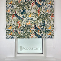 картинка Римская штора Funny Parrots от магазина Topcurtains