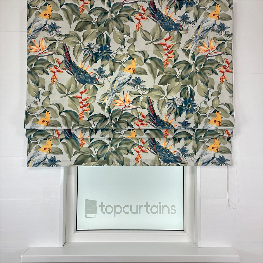 картинка Римская штора Funny Parrots от магазина Topcurtains
