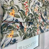 картинка Римская штора Funny Parrots от магазина Topcurtains